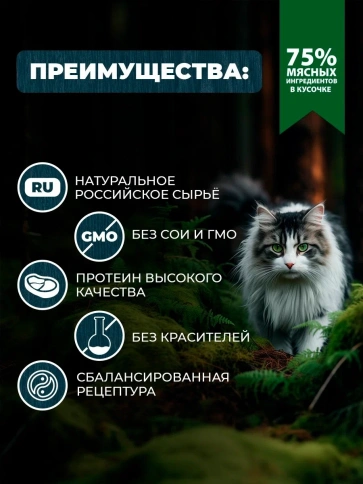 Влажный корм Родные корма Beef & Liver для стерилизованных кошек и кастрированных котов, с говядиной и печенью кусочки в желе по-таежному, 85 г фото 2