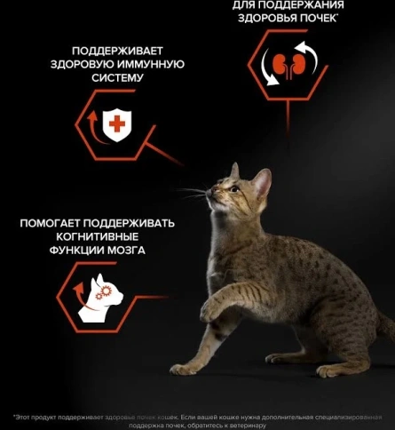 Сухой корм PRO PLAN Salmon для взрослых кошек, с высоким содержанием лосося, 10 кг фото 2