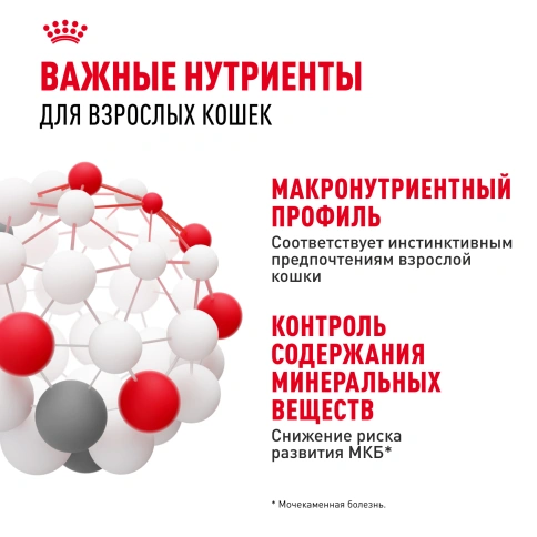 Влажный корм Royal Canin Instinctive в желе для взрослых кошек старше 1 года, пауч, 85 г фото 5