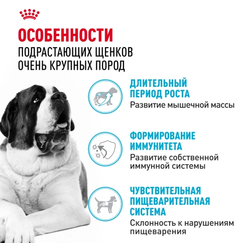 Сухой корм Royal Canin Giant Junior для щенков, 3,5 кг фото 2