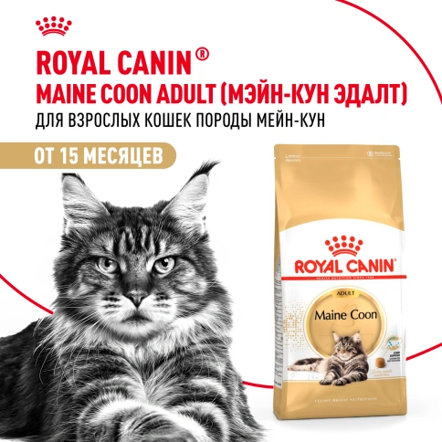 Сухой корм Royal Canin Maine Coon для кошек, 2 кг фото 12