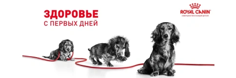 Сухой корм Royal Canin X-Small Puppy для щенков, 500 г фото 19