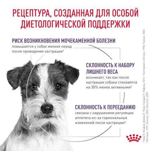 Сухой корм Royal Canin Neutered Adult Small Dogs для стерилизованных собак мелких пород, 3,5 кг фото 2