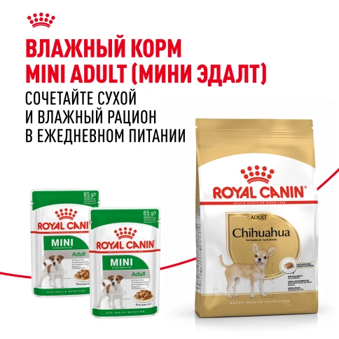Сухой корм Royal Canin Chihuahua Adult для собак породы чихуахуа, 1,5 кг фото 11