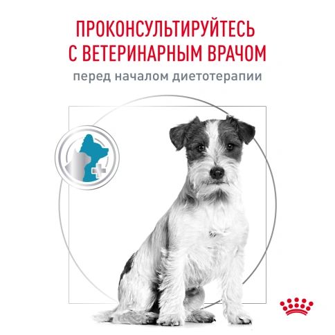 Сухой корм Royal Canin Hypoallergenic Small Dogs для собак, 3,5 кг фото 3