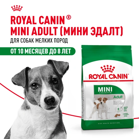 Сухой корм Royal Canin Mini Adult для взрослых собак, 800 фото 14