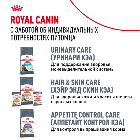 Влажный корм Royal Canin Maine Coon в соусе для кошек породы мейн-кун и других крупных пород старше 1 года, пауч, 85 г фото 11