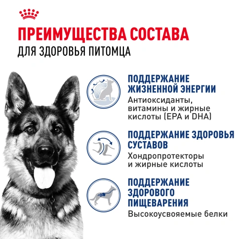 Сухой корм Royal Canin Maxi Ageing 8+ для собак, 15 кг фото 2