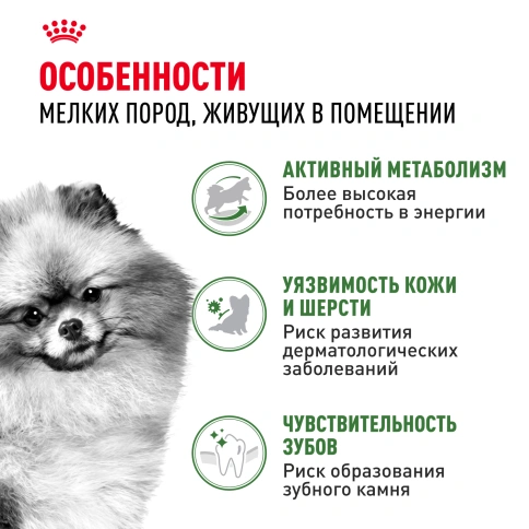 Сухой корм Royal Canin Mini Indoor Adult для собак, 3 кг фото 3