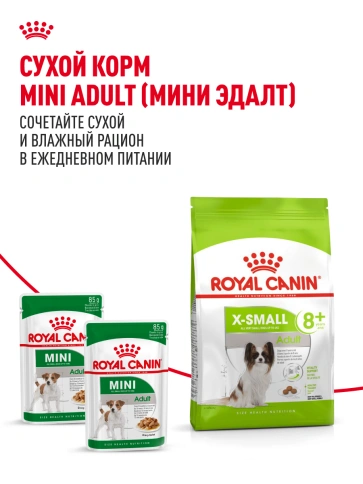 Сухой корм Royal Canin X-Small Adult для собак, 1,5 кг фото 20