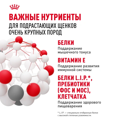Сухой корм Royal Canin Giant Junior для щенков, 3,5 кг фото 4