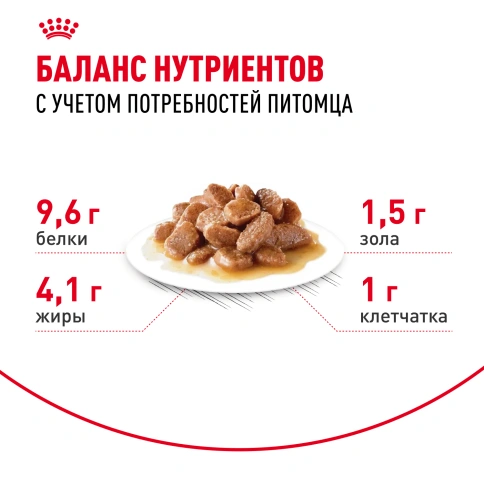 Влажный корм Royal Canin Ageing 12+ в желе для стареющих кошек старше 12 лет, пауч, 85 г фото 4