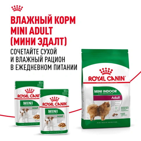 Сухой корм Royal Canin Mini Indoor Adult для собак, 3 кг фото 9