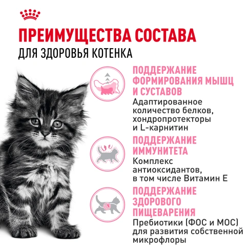 Сухой корм Royal Canin Kitten Maine Coon для котят, 400 г фото 3