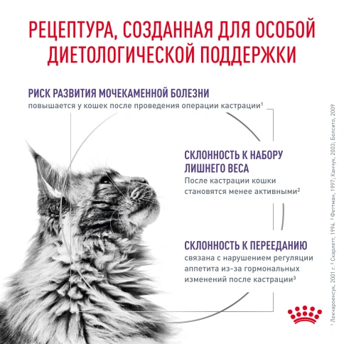 Влажный корм Royal Canin Neutered Balance в соусе для стерилизованных кошек до 7 лет, пауч, 85 г фото 3
