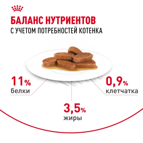 Влажный корм Royal Canin Maine Coon Kitten в соусе для котят породы мейн-кун и других крупных пород старше 3 месяцев, пауч, 85 г фото 4