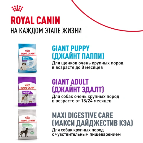 Сухой корм Royal Canin Giant Junior для щенков, 15 кг фото 8