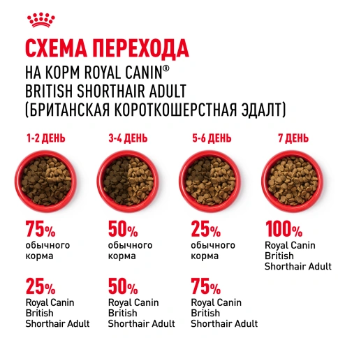 Сухой корм Royal Canin British Shorthair для кошек породы британская короткошерстная, 400 г фото 6