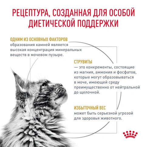 Влажный корм Royal Canin Urinary S/O Moderate Calorie в соусе для кошек при мочекаменной болезни, пауч, 85 г фото 3