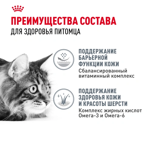 Сухой корм Royal Canin Hair & Skin Care для кошек, 400 г фото 3