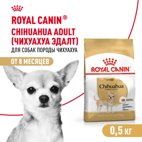 Сухой корм Royal Canin Chihuahua Adult для собак породы чихуахуа, 500 г фото 12