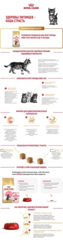 Сухой корм Royal Canin Kitten Maine Coon для котят, 10 кг фото 11
