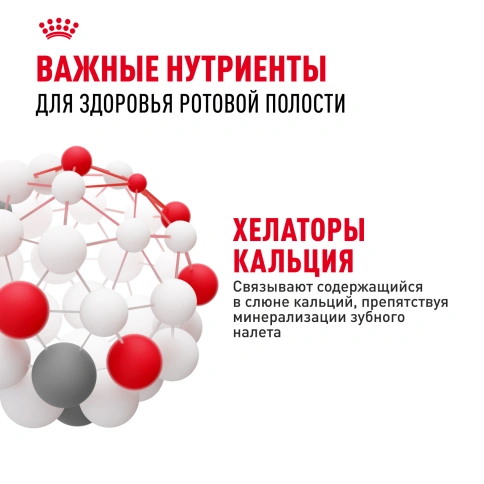 Сухой корм Royal Canin Dental Care для кошек, 1,5 кг фото 5