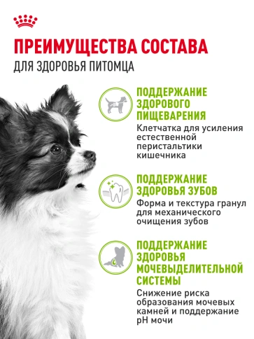 Сухой корм Royal Canin X-Small Adult для собак, 3 кг фото 15