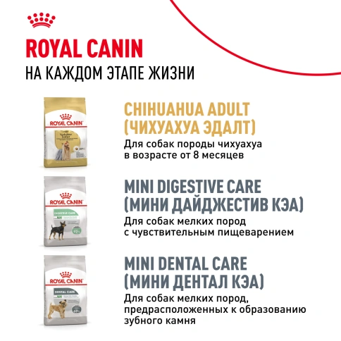 Сухой корм Royal Canin Chihuahua Puppy для щенков породы чихуахуа, 500 г фото 10