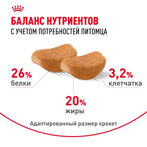 Сухой корм Royal Canin Rottweiler Adult для взрослых собак, 12 кг фото 4