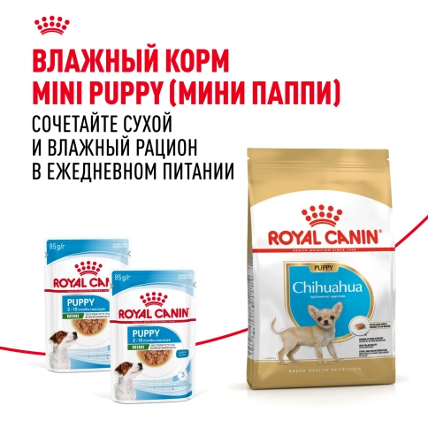 Сухой корм Royal Canin Chihuahua Puppy для щенков породы чихуахуа, 1,5 кг фото 8