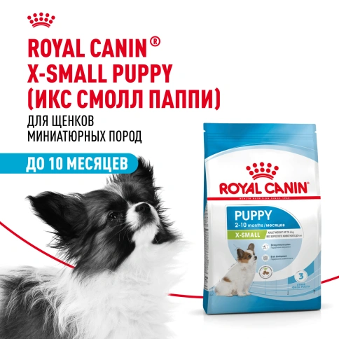 Сухой корм Royal Canin X-Small Puppy для щенков, 3 кг фото 16