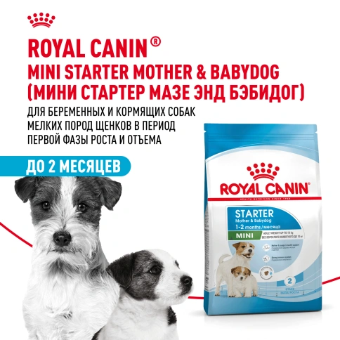 Сухой корм Royal Canin Mini Starter Mother & Babydog для щенков и кормящих сук, 8,5 кг фото 12