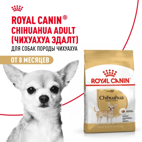 Сухой корм Royal Canin Chihuahua Adult для собак породы чихуахуа, 3 кг фото 11