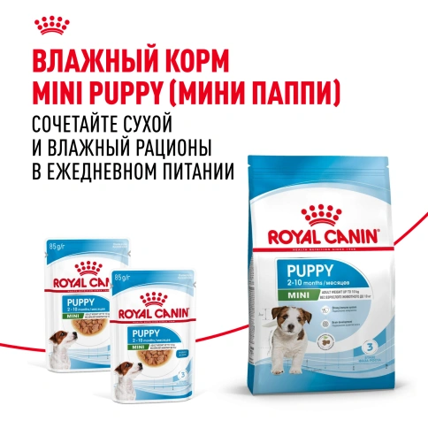 Сухой корм Royal Canin Mini Puppy для щенков, 4 кг фото 8