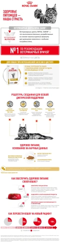 Влажный корм Royal Canin Urinary S/O в соусе для кошек при мочекаменной болезни, пауч, 85 г фото 9