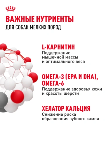 Сухой корм Royal Canin Mini Adult для взрослых собак, 2 кг фото 19