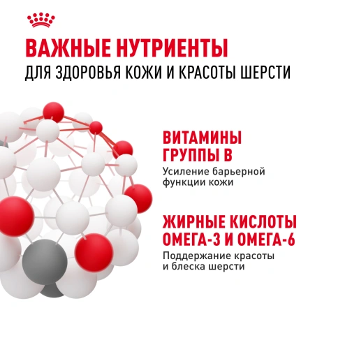 Сухой корм Royal Canin Medium Dermacomfort для собак, 10 кг фото 5