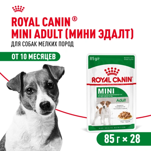 Влажный корм Royal Canin Mini Adult в соусе для взрослых собак мелких пород старше 10 месяцев, пауч, 85 г фото 18