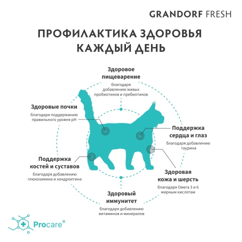 Сухой корм Grandorf Cat Lamb & Sweet Potato для взрослых кошек крупных пород, чувствительное пищеварение или склонность к аллергии ягненок, с бататом, 8 кг фото 4