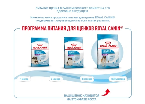 Сухой корм Royal Canin Giant Junior для щенков, 15 кг фото 16