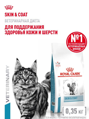 Сухой корм Royal Canin Skin & Coat для кошек, 350 г фото 14