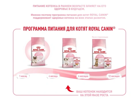 Сухой корм Royal Canin Kitten для котят, 10 кг фото 10