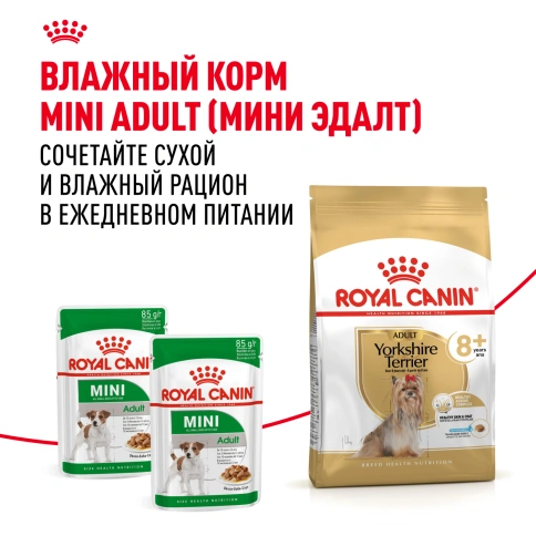 Сухой корм Royal Canin Yorkshire Terrier Adult для взрослых собак, 1,5 кг фото 9
