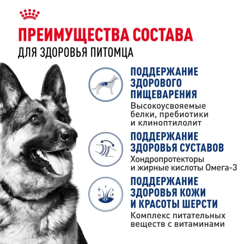 Сухой корм Royal Canin Maxi Adult для собак, 3 кг фото 3