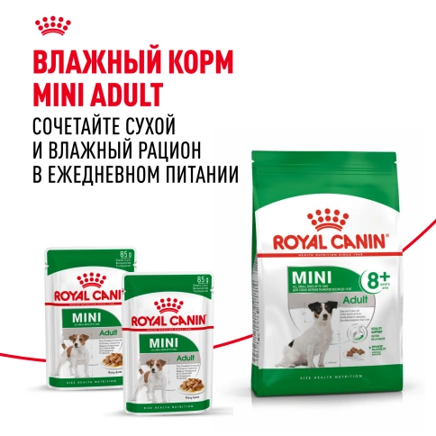 Сухой корм Royal Canin Mini Adult 8+ для пожилых собак, 4 кг фото 6