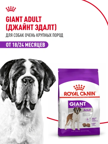 Сухой корм Royal Canin Giant Adult для собак, 4 кг фото 12