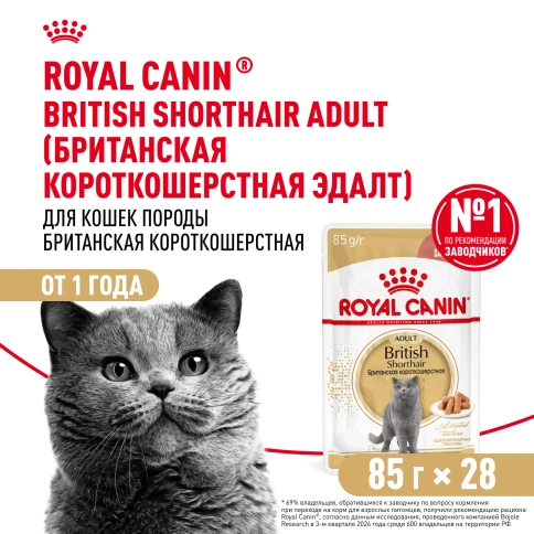Влажный корм Royal Canin British Shorthair в соусе для кошек породы британская короткошерстная и шотландская вислоухая старше 1 года, пауч, 85 г фото 13