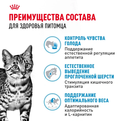 Сухой корм Royal Canin Indoor Appetite Control для кошек, 400 г фото 3