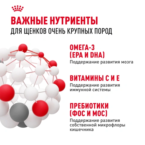 Сухой корм Royal Canin Giant Puppy для щенков, 3,5 кг фото 5